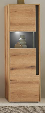 Vitrine Center in Evoke Eiche und grau Vitrinenschrank 50 x 155 cm