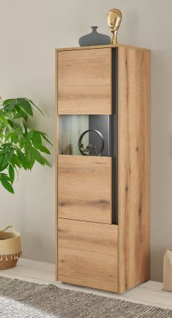 Vitrine Center in Evoke Eiche und grau Vitrinenschrank 50 x 155 cm