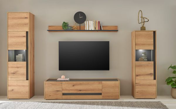 Wandboard Center in Evoke Eiche und grau Wandregal 170 x 15 cm