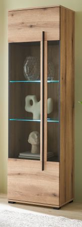 Vitrine Design-D in Evoke Eiche Vitrinenschrank 60 x 200 cm