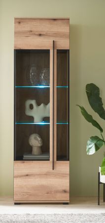 Vitrine Design-D in Evoke Eiche Vitrinenschrank 60 x 200 cm