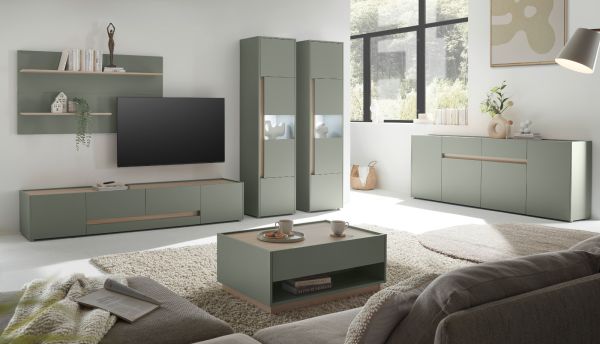 TV-Lowboard Center in Salbei und Barista Eiche TV Unterteil 223 cm TV-Board XL
