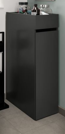Badezimmer Kommode Flexy in grau Anstellregal mit Apothekerauszug 29 x 101 cm