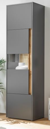 Aktenschrank Center in grau matt und Wotan Eiche Vitrine f�r Homeoffice und B�ro 50 x 200 cm