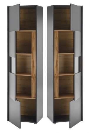Aktenschrank Center in grau matt und Wotan Eiche Vitrine f�r Homeoffice und B�ro 50 x 200 cm