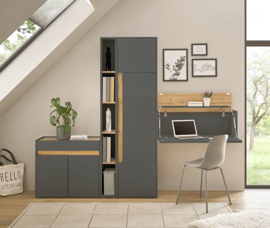 Aktenschrank Center in grau matt und Wotan Eiche Stauraumschrank f�r Homeoffice und B�ro 50 x 200 cm