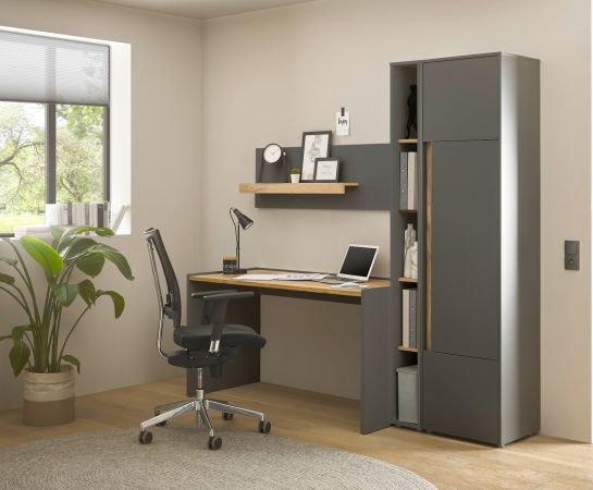 Aktenschrank Center in grau matt und Wotan Eiche Stauraumschrank f�r Homeoffice und B�ro 50 x 200 cm