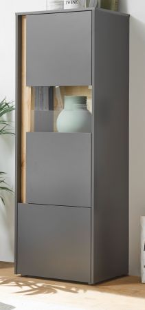 Aktenschrank Center in grau matt und Wotan Eiche Vitrine f�r Homeoffice und B�ro 50 x 158 cm