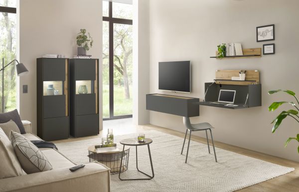 Aktenschrank Center in grau matt und Wotan Eiche Vitrine f�r Homeoffice und B�ro 50 x 158 cm