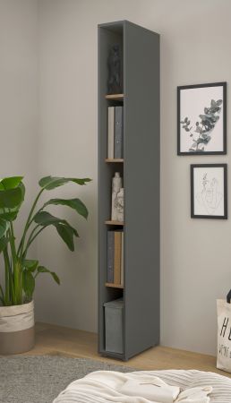 Aktenregal Center in grau matt und Wotan Eiche Standregal f�r Homeoffice und B�ro 20 x 200 cm