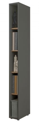 Aktenregal Center in grau matt und Wotan Eiche Standregal f�r Homeoffice und B�ro 20 x 200 cm