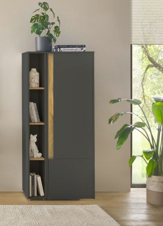 Aktenregal Center in grau matt und Wotan Eiche Standregal f�r Homeoffice und B�ro 20 x 158 cm