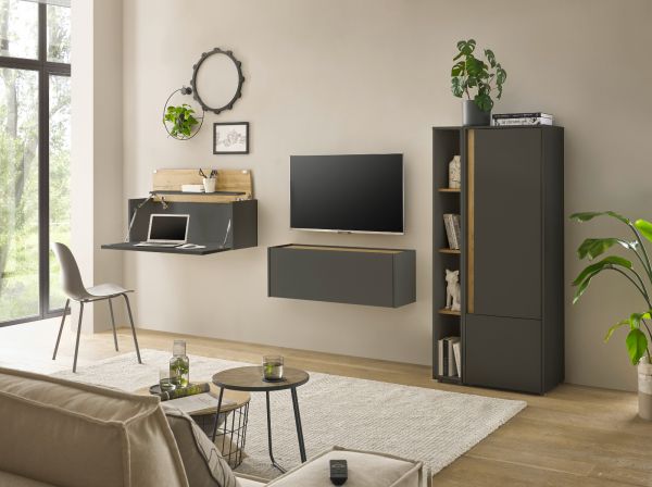 Aktenregal Center in grau matt und Wotan Eiche Standregal f�r Homeoffice und B�ro 20 x 158 cm