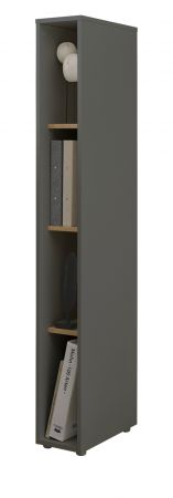 Aktenregal Center in grau matt und Wotan Eiche Standregal f�r Homeoffice und B�ro 20 x 158 cm