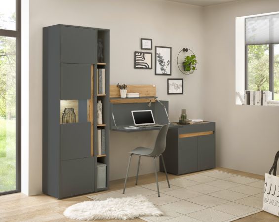 B�rom�bel komplett Set Center in grau matt und Wotan Eiche mit Aktenschrank, Sekret�r und Vitrine f�r Homeoffice
