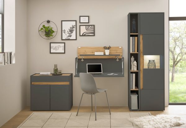 B�rom�bel komplett Set Center in grau matt und Wotan Eiche mit Aktenschrank, Sekret�r und Vitrine f�r Homeoffice