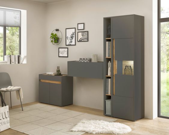B�rom�bel komplett Set Center in grau matt und Wotan Eiche mit Aktenschrank, Sekret�r und Vitrine f�r Homeoffice