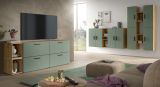 Wohnwand Onawa in Gr�n und Artisan Eiche Wohnkombination h�ngend / stehend 259 x 184 cm