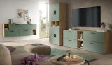 Wohnwand Onawa in Gr�n und Artisan Eiche Wohnkombination h�ngend / stehend 300 x 178 cm