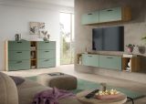 Wohnwand Onawa in Gr�n und Artisan Eiche Wohnkombination h�ngend / stehend 300 x 178 cm