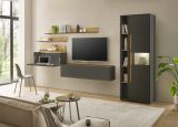 Aktenschrank Center in grau matt und Wotan Eiche Vitrine f�r Homeoffice und B�ro 50 x 200 cm