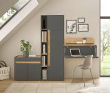 Aktenschrank Center in grau matt und Wotan Eiche Stauraumschrank f�r Homeoffice und B�ro 50 x 200 cm