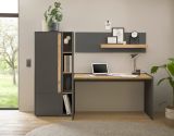 Aktenschrank Center in grau matt und Wotan Eiche Stauraumschrank f�r Homeoffice und B�ro 50 x 158 cm