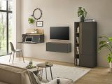 Aktenschrank Center in grau matt und Wotan Eiche Stauraumschrank f�r Homeoffice und B�ro 50 x 158 cm