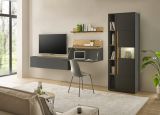 Aktenregal Center in grau matt und Wotan Eiche Standregal f�r Homeoffice und B�ro 20 x 200 cm