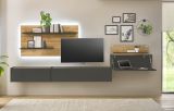 Wandregal Center in Wotan Eiche und grau matt Wandpaneel f�r Homeoffice und B�ro 155 x 80 cm