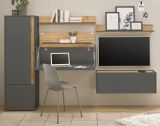 Wohnwand mit Sekret�r Center in grau matt und Wotan Eiche Wohnkombination 5-teilig 250 cm
