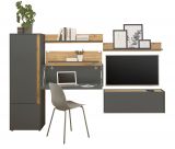 Wohnwand mit Sekret�r Center in grau matt und Wotan Eiche Wohnkombination 5-teilig 250 cm