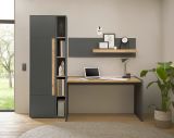 B�rom�bel Set Center in grau matt und Wotan Eiche mit Schreibtisch, Aktenschrank und 2 x Regal f�r Homeoffice