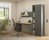 B�rom�bel Set Center in grau matt und Wotan Eiche mit Schreibtisch, Aktenschrank und 2 x Regal f�r Homeoffice