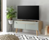 TV-Lowboard Isgard in Pistazie matt und Scandi Eiche TV Unterteil skandinavisch 107 x 50 cm