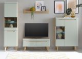Wohnwand Isgard in Pistazie matt und Scandi Eiche Wohnkombination skandinavisch 4-teilig 290 x 197 cm