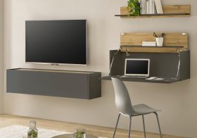 Wohnwand mit Sekret�r Center in grau matt und Wotan Eiche Wohnkombination 3-teilig 270 x 170 cm