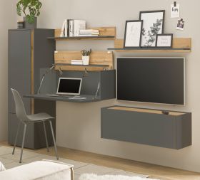 Wohnwand mit Sekret�r Center in grau matt und Wotan Eiche Wohnkombination 5-teilig 250 cm
