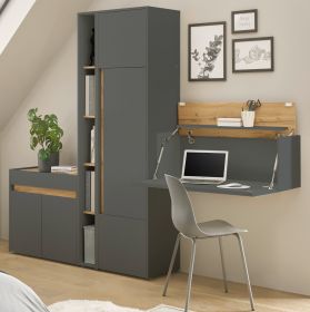 B�rom�bel komplett Set Center in grau matt und Wotan Eiche mit Aktenschrank, Sekret�r und Kommode f�r Homeoffice